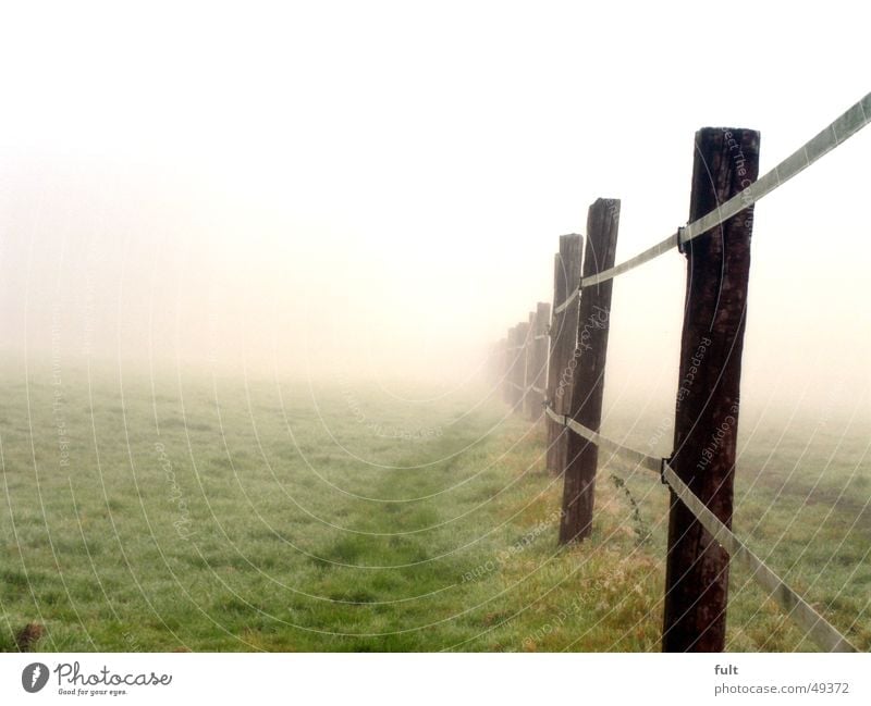 fence without end Fence Wood Pole Meadow Grass Fog Morning Railroad tie Side by side Rope Row