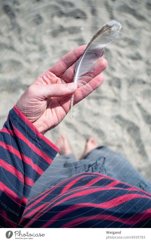 Feather in palm looking down on sandy beach Hand Palm of the hand Beach Sandy beach Baltic Sea Northern Germany Schleswig-Holstein vacation amass attentiveness