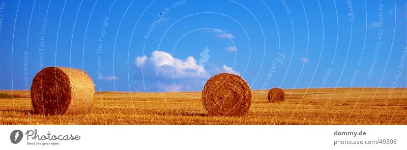 pure nature Field Round Collection Clouds Summer 3 Würzburg White Brown Yellow Straw Nature Bale of straw Sun