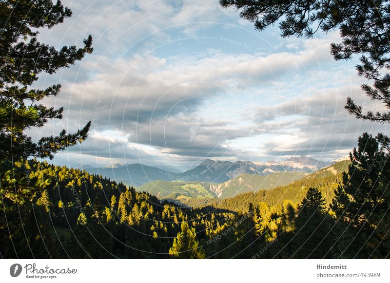 evening Environment Nature Earth Air Water Sky Clouds Summer Beautiful weather Tree Branch Forest Hill Rock Alps Mountain Peak Dolomites Hang Gigantic Large