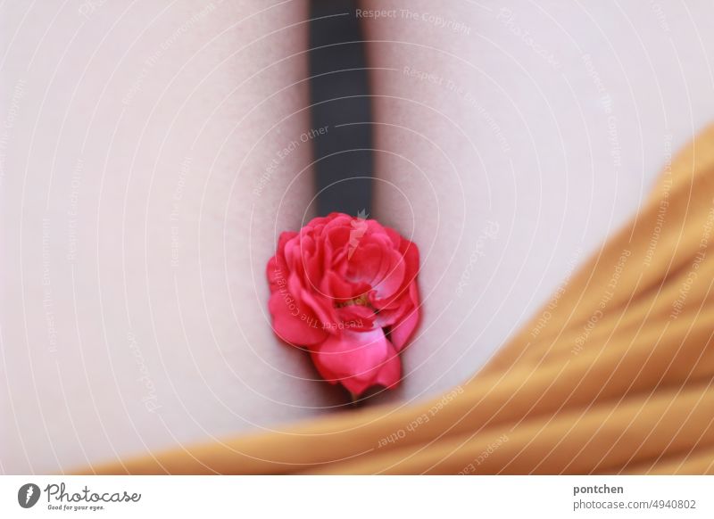 A pink rose flower between the naked thighs of a woman. Feminine, sensual Rose blossom Thigh Skin light skin body part Legs Body Woman Naked come into bloom