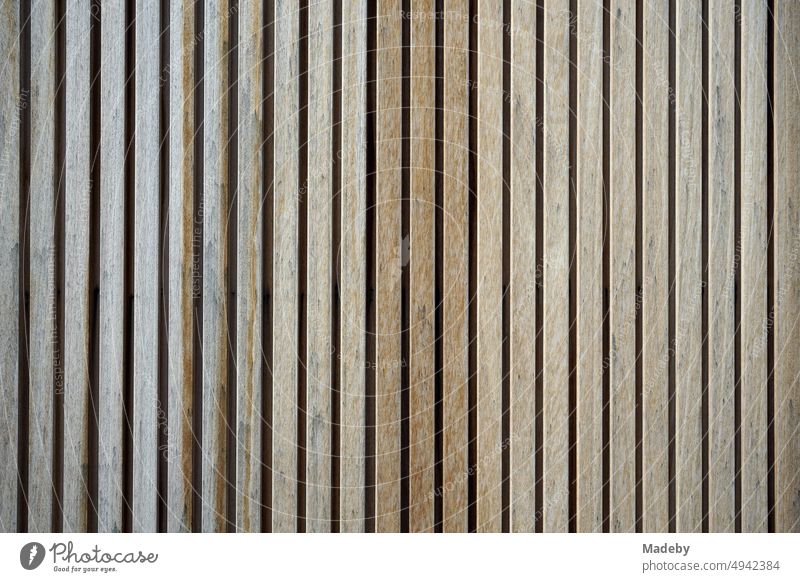 Wall panel of beautiful light wood on the facade of a residential house in Knokke-Heist on the North Sea near Bruges in West Flanders in Belgium quality