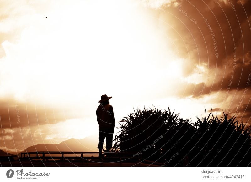 crime scene / A man with a hat and his hands in his pockets, stands on top of the roof of a car. On the right are large plants and he looks at the horizon in which a storm is approaching.