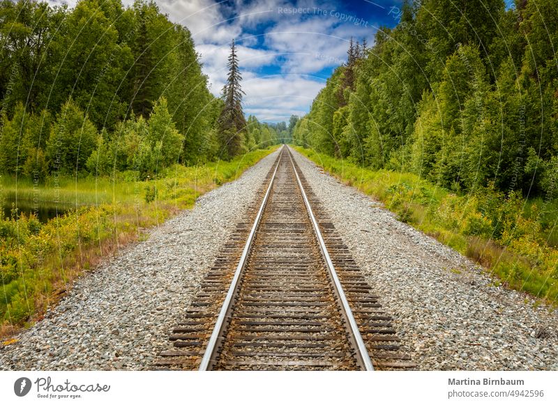 Straight railway tracks leading through the wilderness of Alaska alaska journey train railroad sky landscape travel iron outdoor transportation summer line