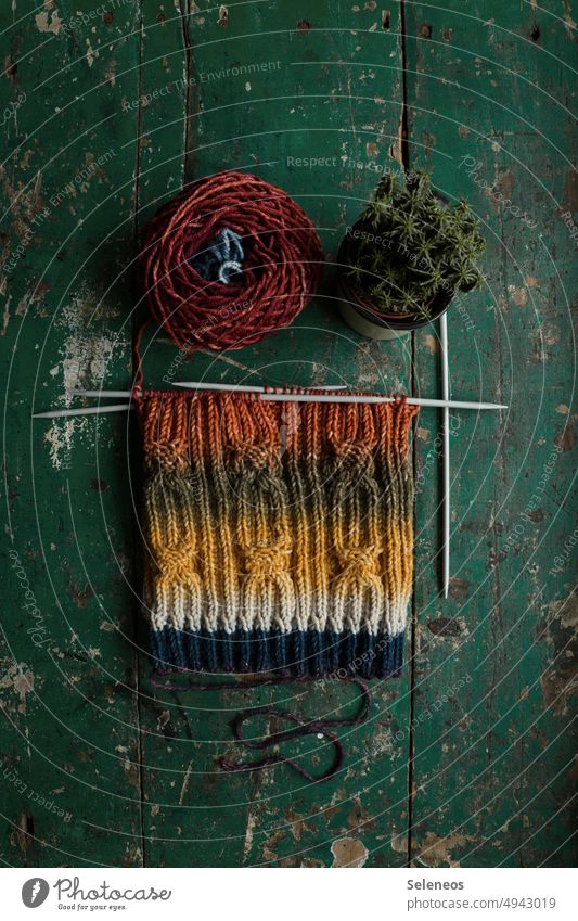 work in progress Knit Cap hobby Wool Ball of wool Knitting needle needle play Cactus Knitting pattern Leisure and hobbies Handcrafts Soft Colour photo