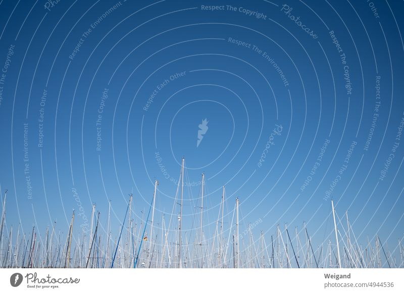 Detail shot of sail masts against blue sky Baltic Sea North Sea Schleswig-Holstein Nature Harbour Sailing masts sailboats Art Summer Blue sky postcard motif