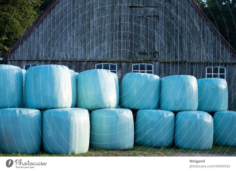 Silo bales in front of old wooden barn silo bales Barn Wood Agriculture Still Life Northern Germany Schleswig-Holstein