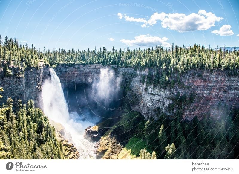 incomplete | washed with all waters Riverbed Canyon Wall of rock Rock Forest Sky Wells Gray Park Wells Gray Provincial Park British Columbia North America