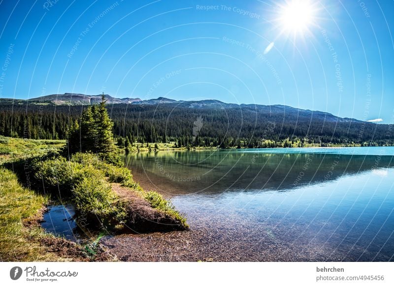 sunshine Lakeside Alberta Water Sky North America Landscape Canada Nature Far-off places Forest Wanderlust Rocky Mountains Vacation & Travel