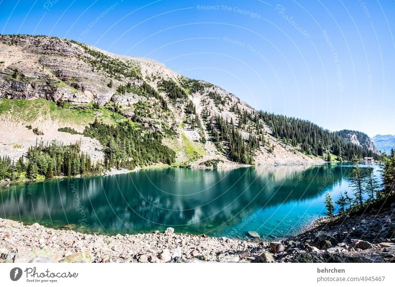 once upon a time in canada Alberta Landscape Lake Mountain Canada Rocky Mountains Far-off places Wanderlust mountain lake Banff National Park Loneliness Lonely