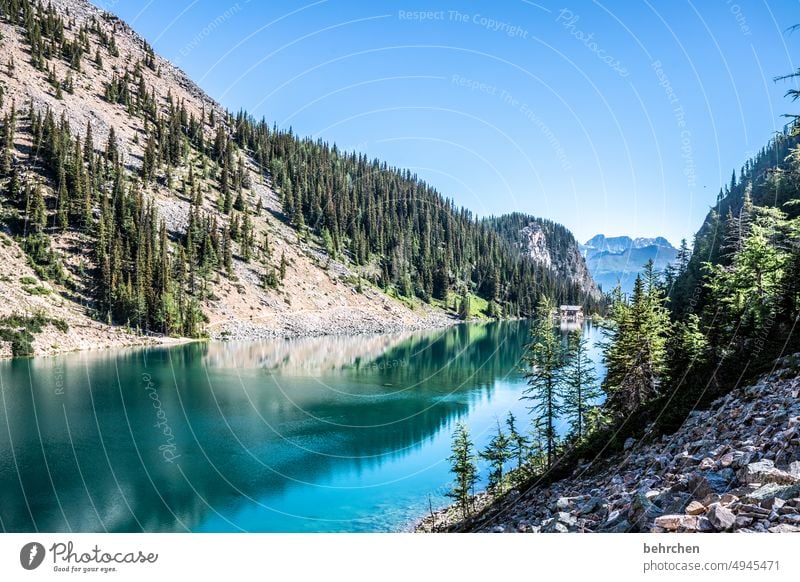 once upon a time in canada Alberta Landscape Lake Mountain Canada Rocky Mountains Far-off places Wanderlust mountain lake Banff National Park Loneliness Lonely