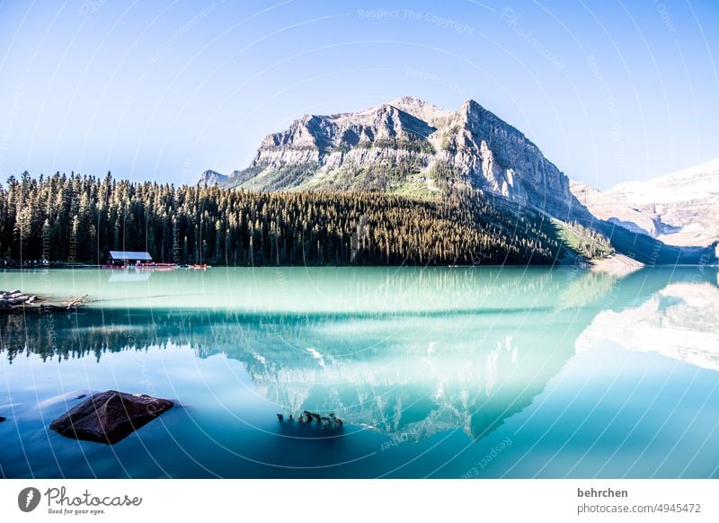 water stories Lake Louise Alberta Adventure Freedom Landscape Mountain Canada Nature Exterior shot Rocky Mountains North America Colour photo Fantastic Tourism