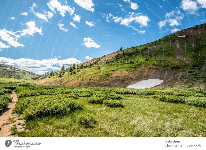 again and again canada trees Rocky Mountains Wanderlust Forest Far-off places Nature Canada Landscape North America wide