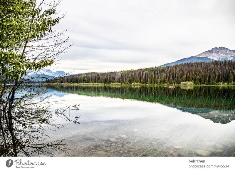 addiction stories Sky Lonely Loneliness Peaceful Impressive Idyll silent tranquillity Alberta Clouds Adventure Jasper national park Lake trees North America