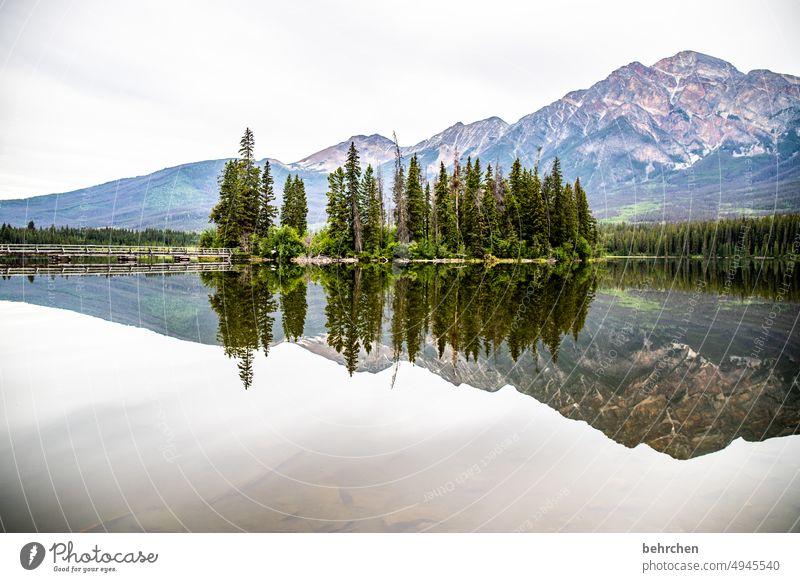 twice beautiful especially Wanderlust wide Far-off places Tourism Vacation & Travel Nature Exterior shot Canada Mountain Forest Landscape Rocky Mountains