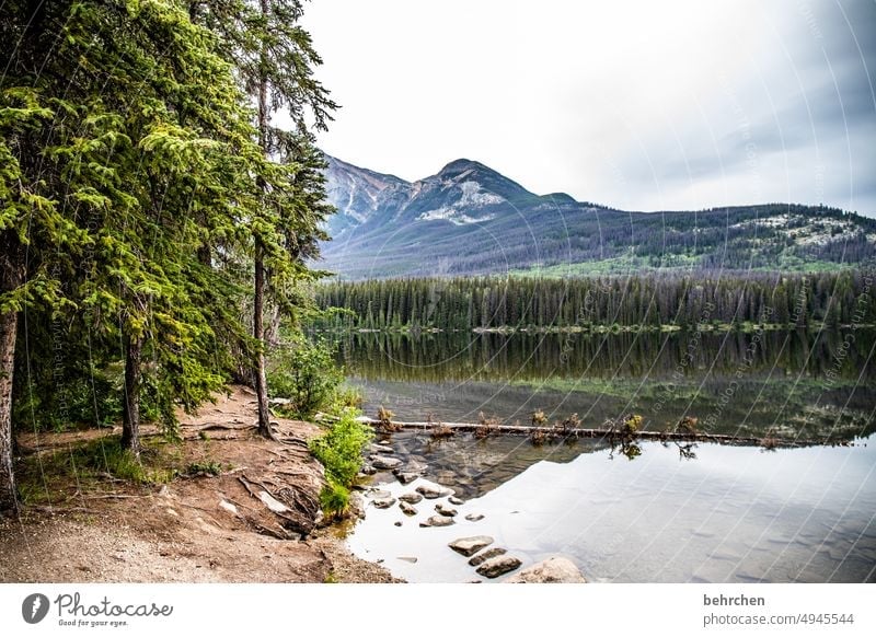 mirror stories especially Wanderlust wide Far-off places Vacation & Travel Nature Canada Mountain Forest Landscape Rocky Mountains mountain lake Reflection