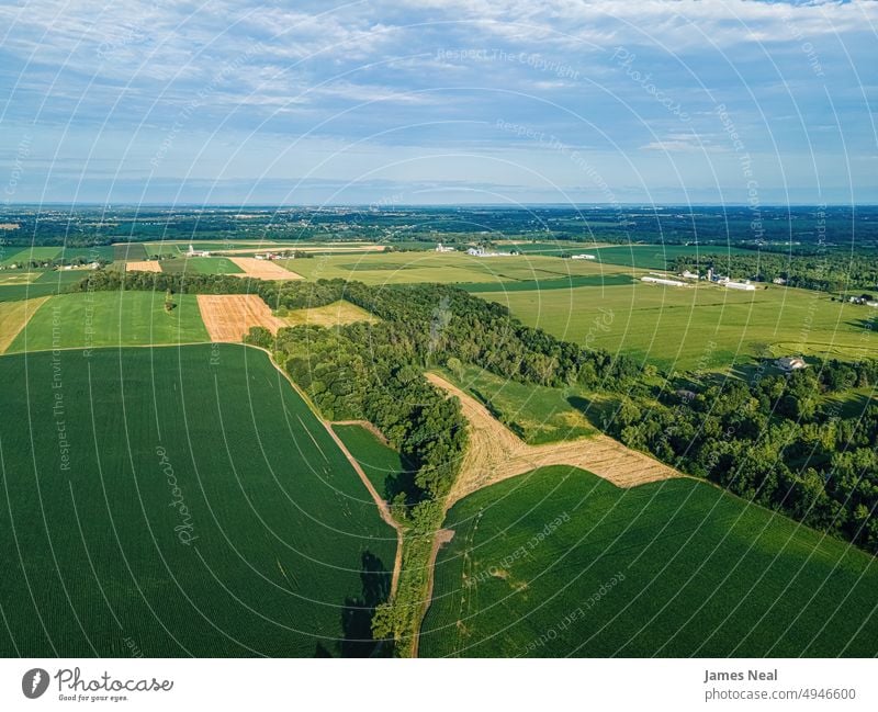 Aerial views of summertime wisconsin grass sunny natural nature day meadow hill agriculture plant drone sustainable resources growth outdoors environment yellow