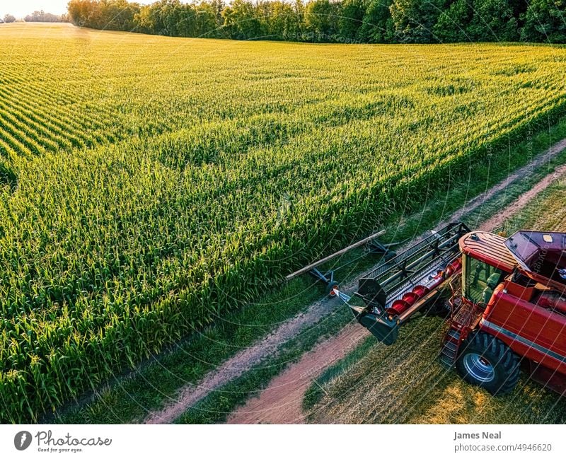 Harvester parked at the edge of corn field grass Agricultural Machinery natural nature day background red agriculture plant drone sustainable resources