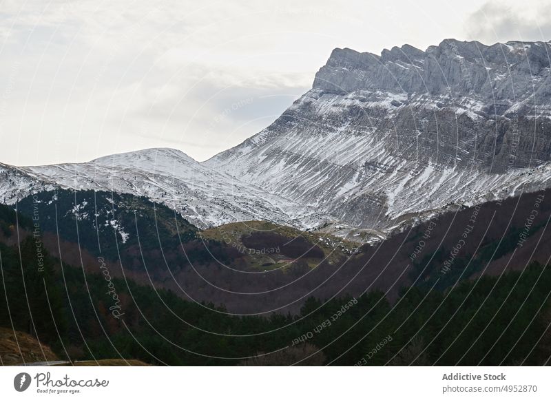 Rocky snowy mountain in Pyrenees rock forest tree winter nature woods frost spain sierra de alano pyrenees rough cold scenic coniferous weather landscape