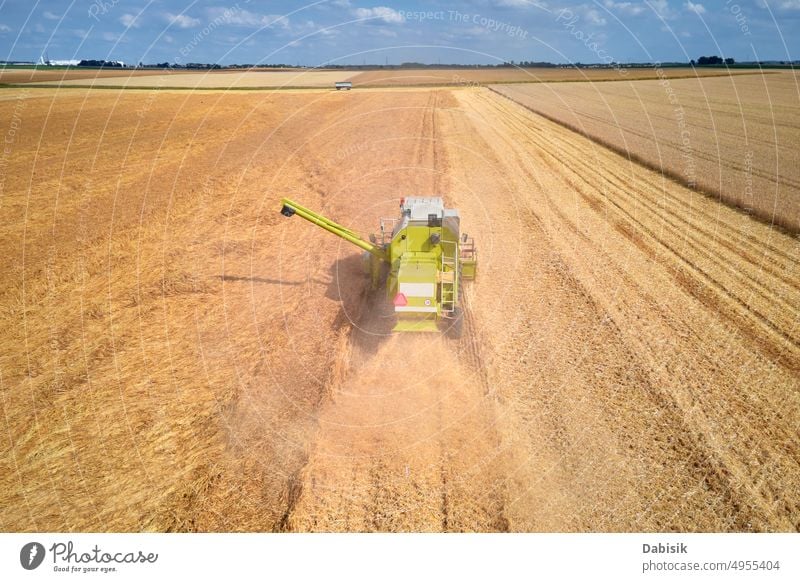 Aerial view of working harvesting combine in wheat field, Harvest season aerial harvester dust grain farmland tractor machine above agricultural yellow