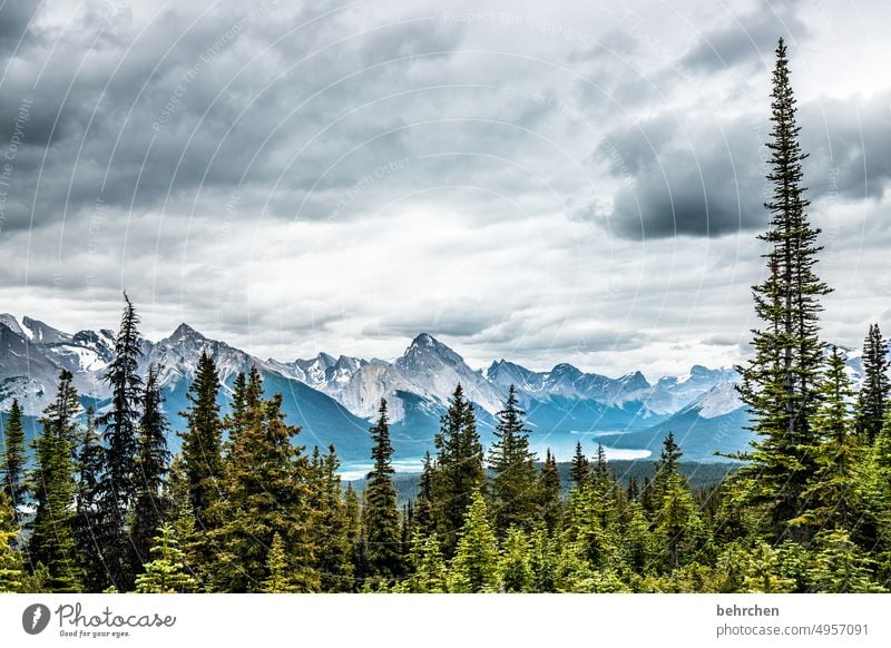 once upon a time in canada Jasper national park Clouds Hiking Canada Adventure Mountain Forest trees Landscape North America Rocky Mountains Wanderlust