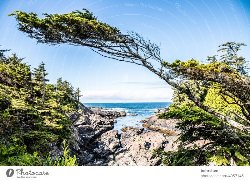 fleeting Sky Pacific Rim National Park coast Rock Wild Water Ocean Impressive especially Nature Landscape British Columbia North America Canada Adventure