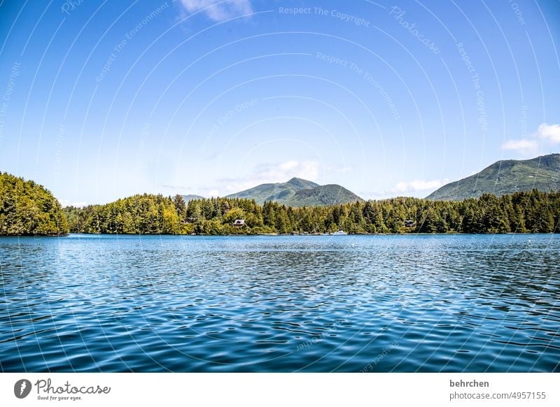 vancouver island Mountain Sky especially Nature coast Ocean Landscape British Columbia Water Adventure Canada North America Colour photo Fantastic