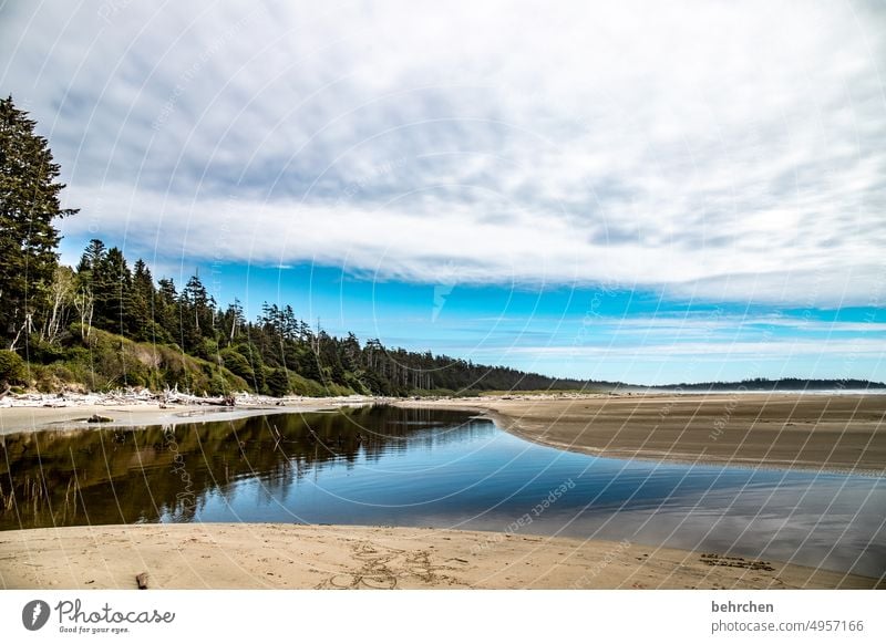 A piece of heaven Reflection reflection Reflection in the water Beach Landscape Clouds Nature Freedom coast wide Wanderlust Sky Exterior shot Ocean Idyll