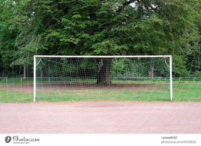Empty football goal with a tree in the background field game green net outdoor park penalty box pitch play recreation soccer sport stadium