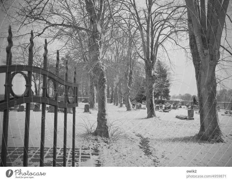 passage Cemetery Passage Way out gate door Exterior shot Transience Calm Lonely silent Tomb Stone Deserted Tombstone Grave Tree Lanes & trails Old wrought-iron