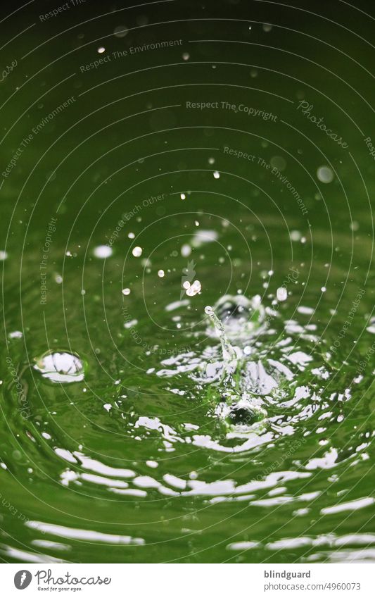 Water (without case) Rock stones splash Drop Wet Nature Drops of water Damp Close-up Detail Comforting Stone Well Green structure Waves