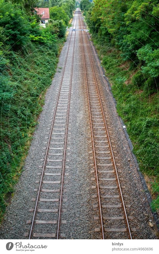 Long straight railroad track lined with trees and shrubs, taken from a bridge. Rail traffic railway tracks Rail transport Traffic infrastructure Railroad tracks