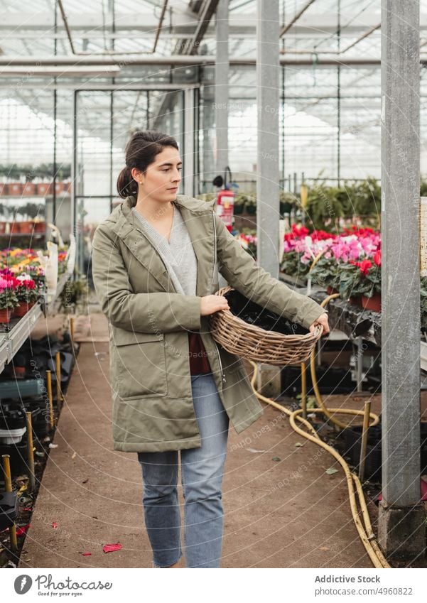 Pensive adult woman walking along contemporary greenhouse and choosing potted flowers to buy shop choose choice floristry pensive plant basket hothouse market