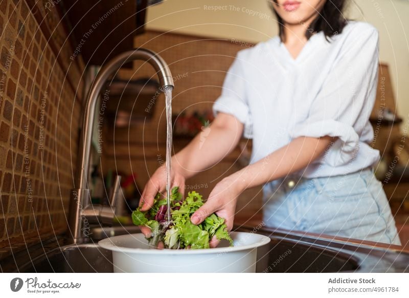 Crop woman washing lettuce in colander water sink fresh kitchen tap clean female wet ripe domestic vegetable organic vitamin vegan ingredient healthy food salad