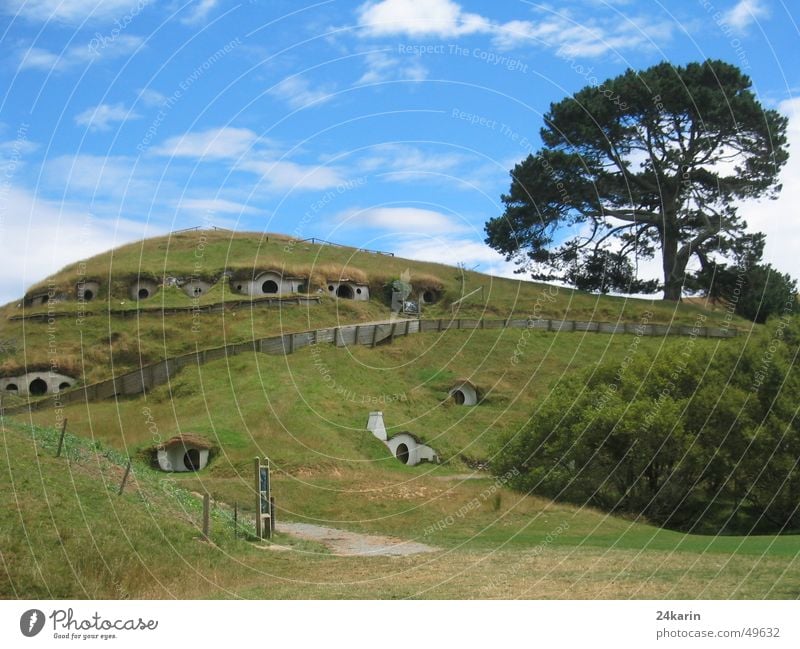 Shire - home of the Hobbits The Shire New Zealand The Hobbit Lord of the Rings Film location Film industry Tree Hill House (Residential Structure) fab set
