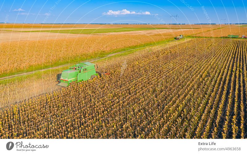 Above view of combine, harvester machine harvest ripe sunflower Aerial Agricultural Agriculture Agronomy Cereal Combine Country Crop Cultivated Cut Farm Farming