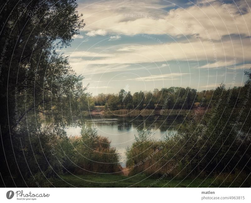 Landscape at the end of summer Lake trees shrub Schf Access Sky Clouds Nature Calm Deserted End of summer melancholy