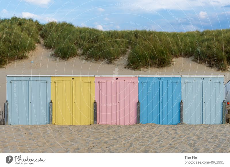 Colorful beach cabins in Oostkapelle - North Sea Netherlands beach holiday Beach cabin beach vacation Relaxation variegated light blue Sand dunes Marram grass
