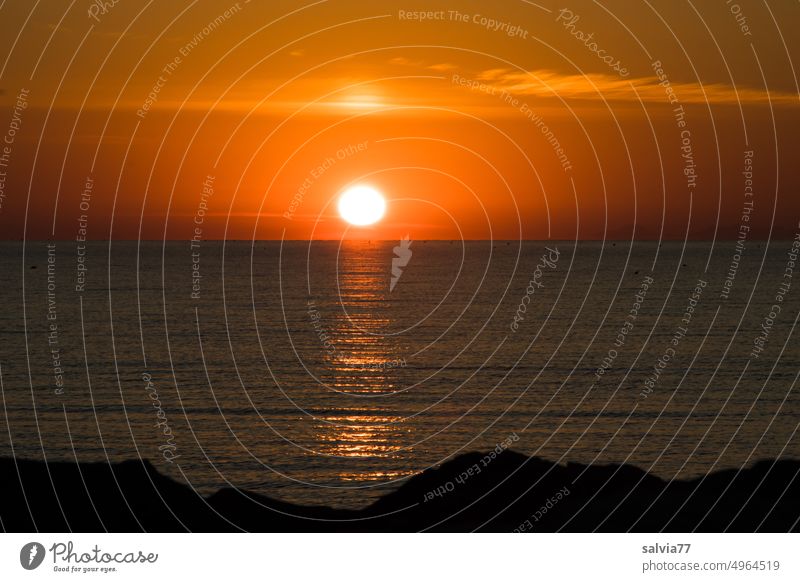 Sunrise over the sea Ocean Rock Landscape Ambience Horizon Water coast Colour photo Deserted Summer reflection vacation Vacation & Travel Nature Reflection Sky