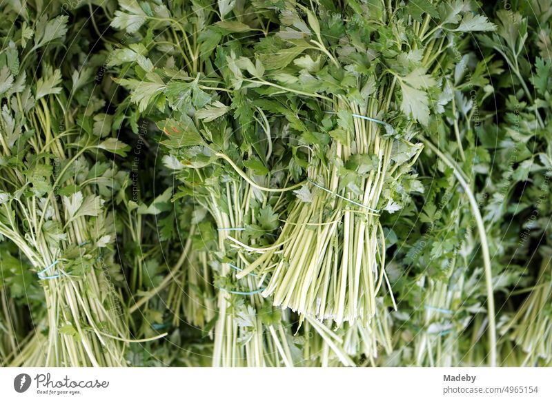 Fresh green parsley for salad at the weekly market and bazaar in the district of Erenköy in Sahrayicedit in Istanbul on the Bosphorus in Turkey persilie herbs