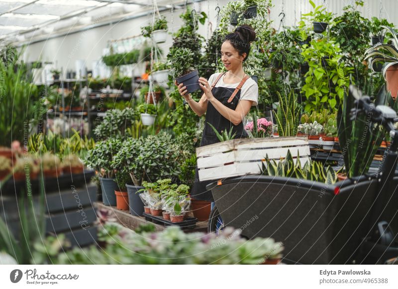 Florist at the flower shop, taking care of plants plant nursery smiling positivity nature garden gardening cultivate growth hobby freshness growing flora green