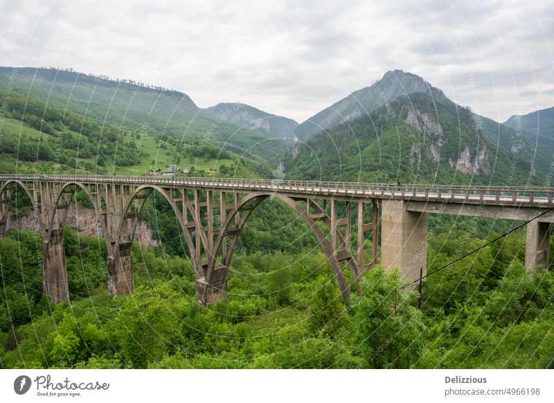 High bridge Montenegro, Mala Rijeka Viaduct high montenegro viaduct river nature valley mountains scenic visit travel tourist tourism hill tree rock train