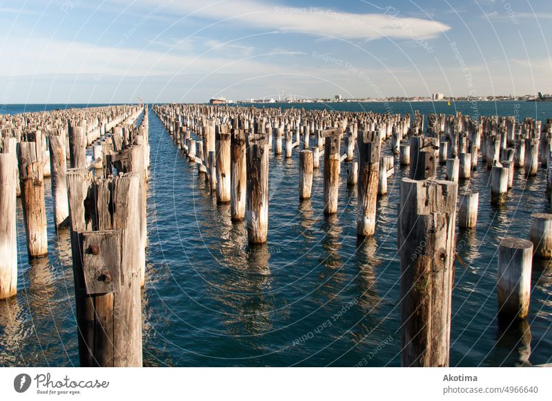 Wooden beaming at Princes Pier, Melbourne Harbour Ocean wooden struts Wooden stakes Blue sky calm sea calm water Water Nature vacation travel Australia Victoria