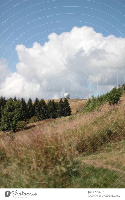 Radome at the Wasserkuppe Rhön forest and meadow firs Meadow Grass Nature Nature reserve Experiencing nature out cloudy sky Hiking enjoy nature Hiking trails