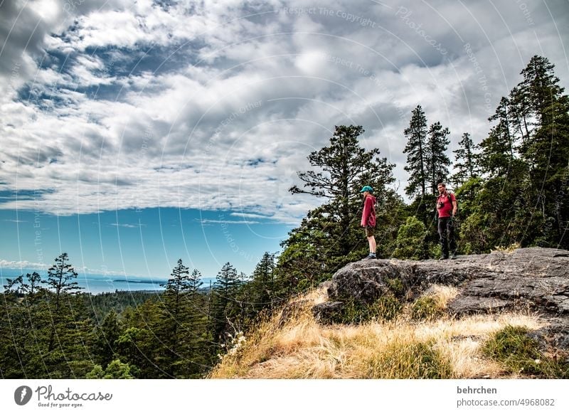 again and again canada trees Rocky Mountains Wanderlust Forest Far-off places Nature Canada Landscape North America wide