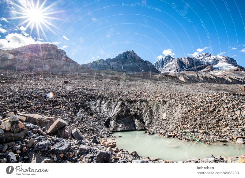 sunshine Alberta Sky North America Landscape Canada Nature Far-off places Forest Wanderlust Rocky Mountains Vacation & Travel Snow Icefield parkway Sun