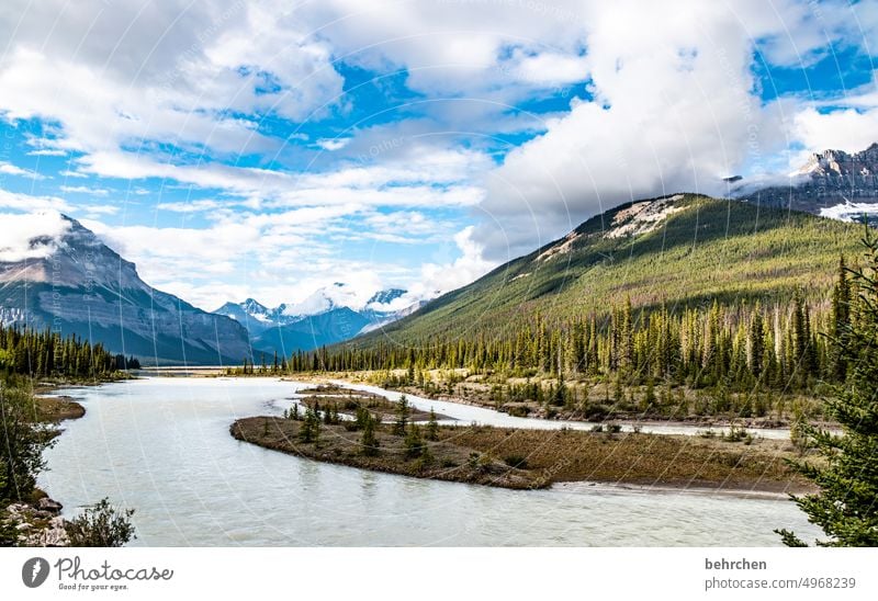 again and again canada Nature Canada Alberta North America Glacier