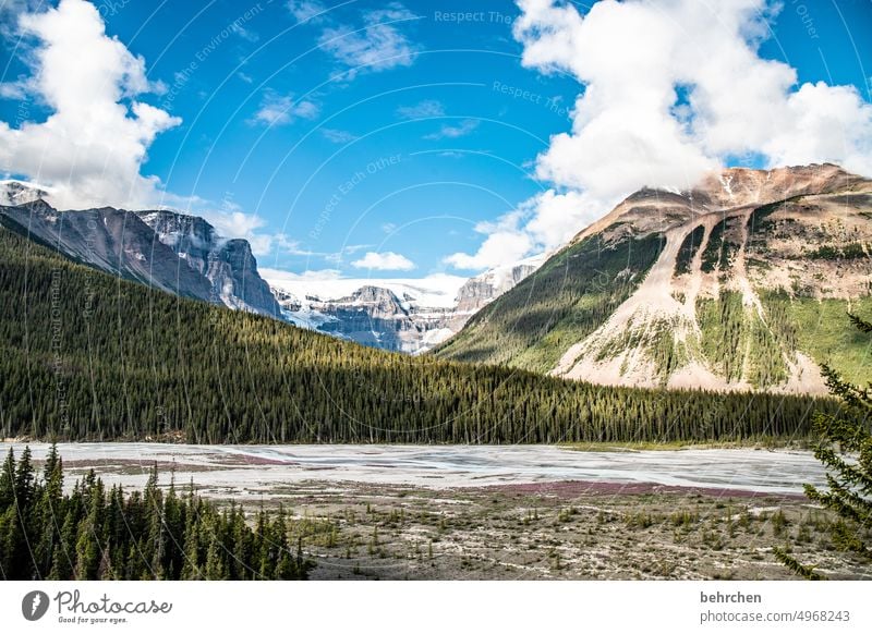 again and again canada Nature Canada Alberta North America Glacier