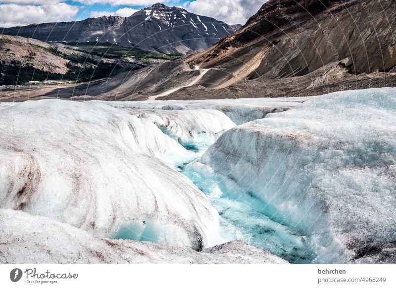 ice age Ice crystal chill Climate protection Climate change Environmental protection Impressive Cold Banff National Park Icefield parkway Glacier