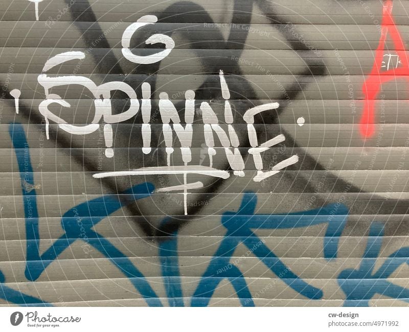 SPINNE Spider urban Vandalism embassy Cool (slang) Dirty City life Detail Illustration Graffiti Street art Art Structures and shapes Facade Typography Daub